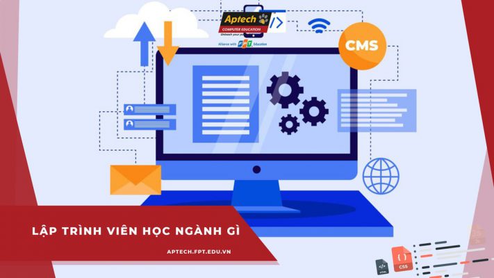 Lập trình viên học ngành gì