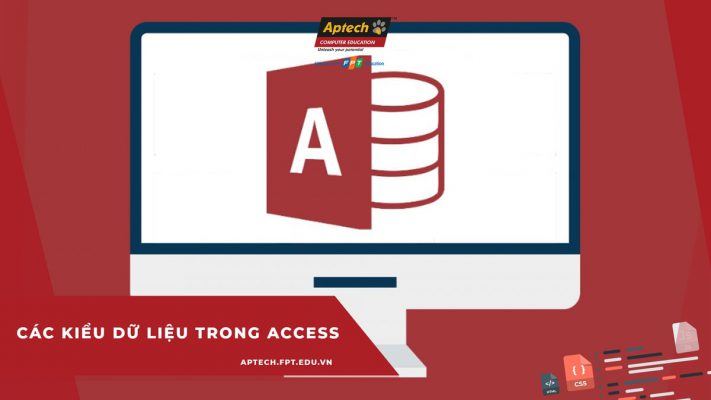 Các kiểu dữ liệu trong access