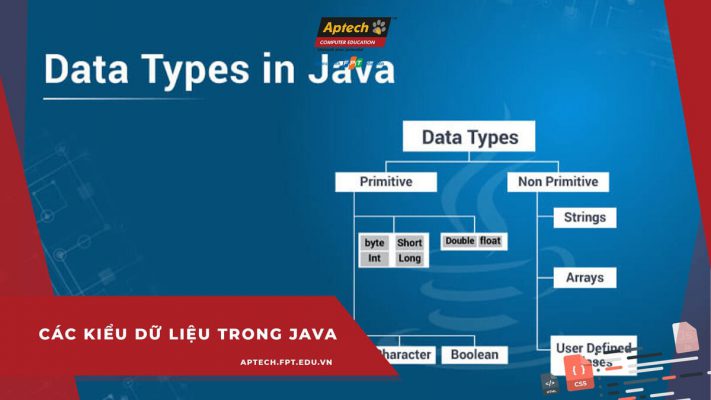 Các kiểu dữ liệu trong Java