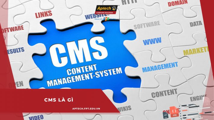 CMS là gì?