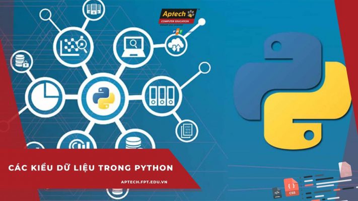 Các kiểu dữ liệu trong Python