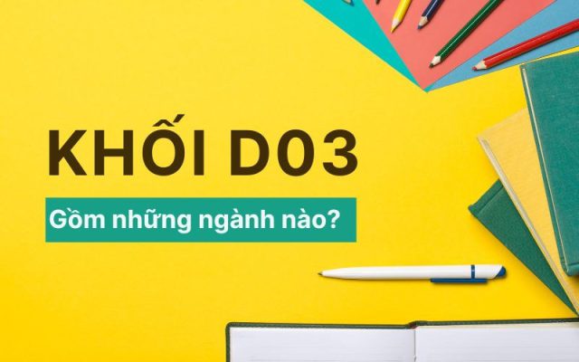 Khối D03